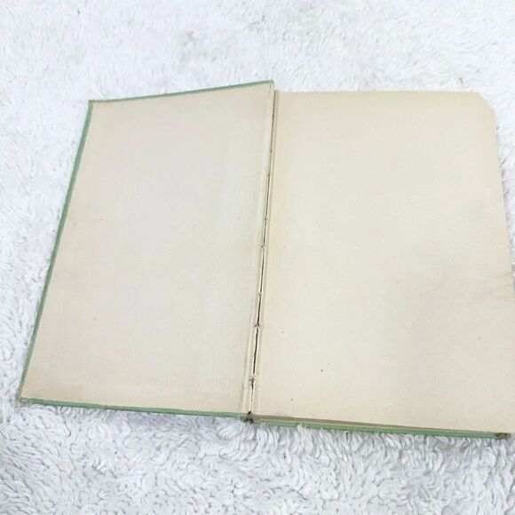 The Border Boys with the Mexican Rangers Chapter Book Hardback Illustrated 1911 - Picture 6 of 8